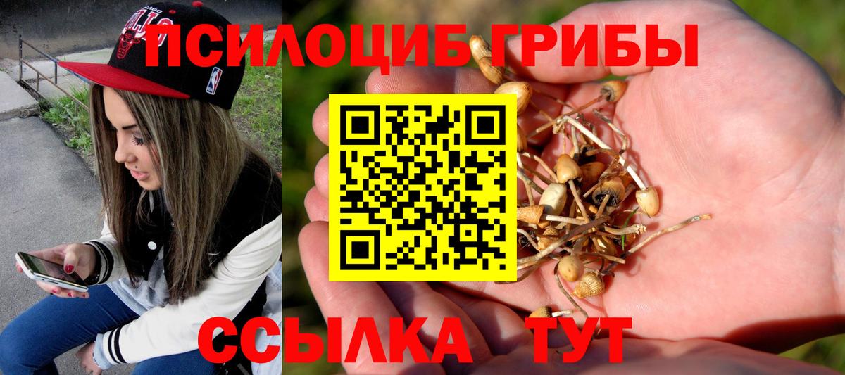 Фурманов  Псилоцибиновые грибы GOLDEN TEACHER  Вход с VPN 